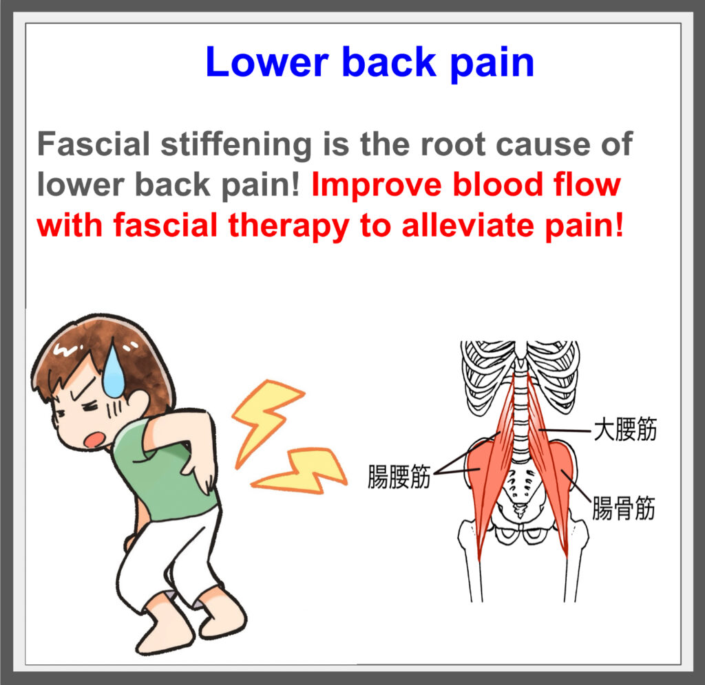 Fascial treatment treats knee pain from the root!^^