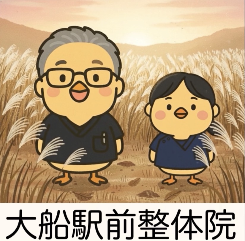 🍂大船駅前整体院からの空き状況のお知らせ🍂(10月25日〜)